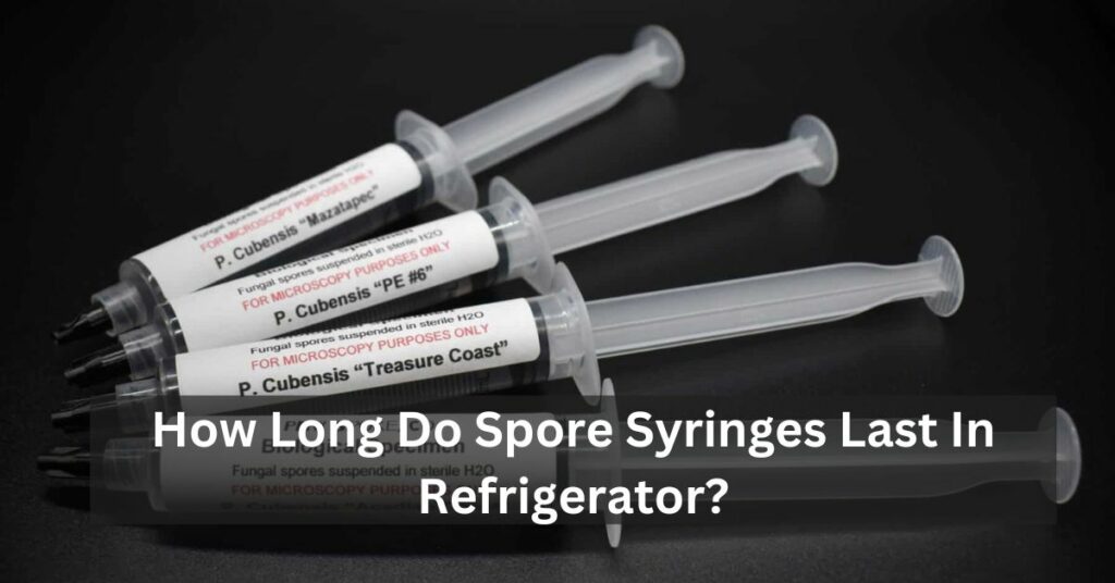 How Long Do Spore Syringes Last In Refrigerator?