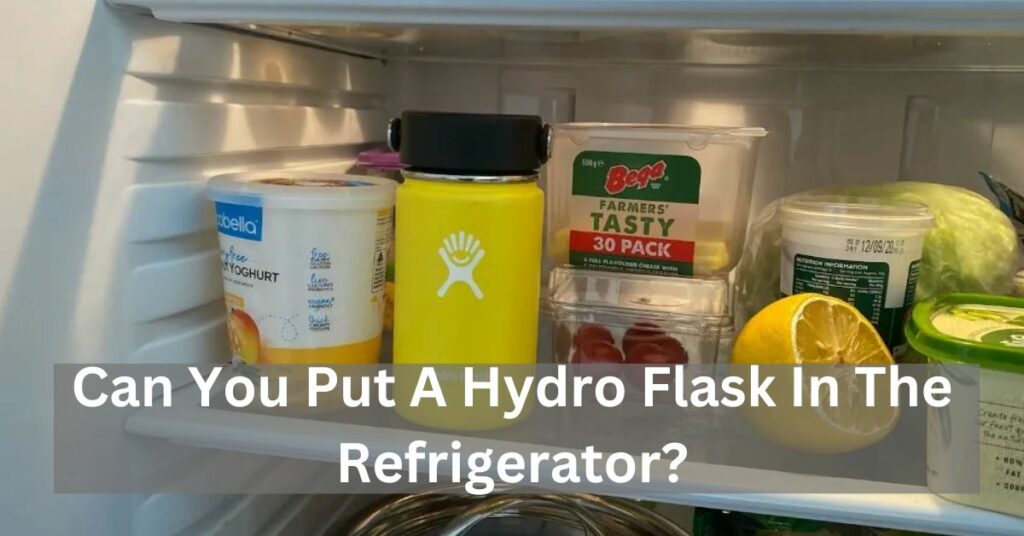 Can You Put A Hydro Flask In The Refrigerator
